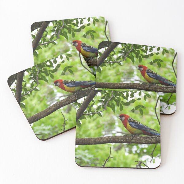 Item preview, Eastern Rosella sitting in a tree designed and sold by Claire L Page Photography.