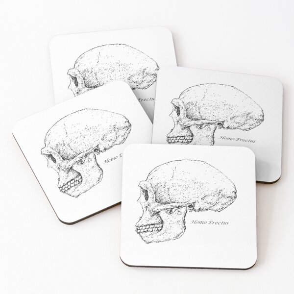 Item preview, Homo Erectus Skull designed and sold by StudioEmilia.