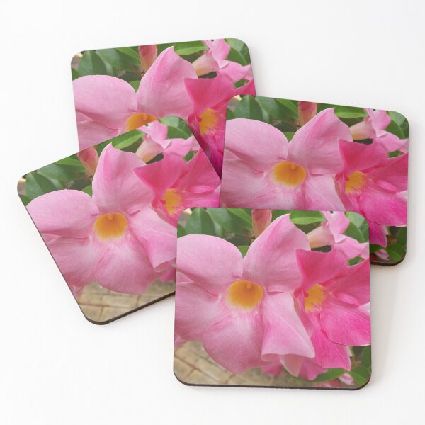 Item preview, Pink Mandevilla flowers designed and sold by Claire L Page Photography.