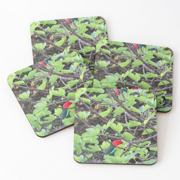 Item preview, pretty boys in the fig tree designed and sold by Bob-tography.