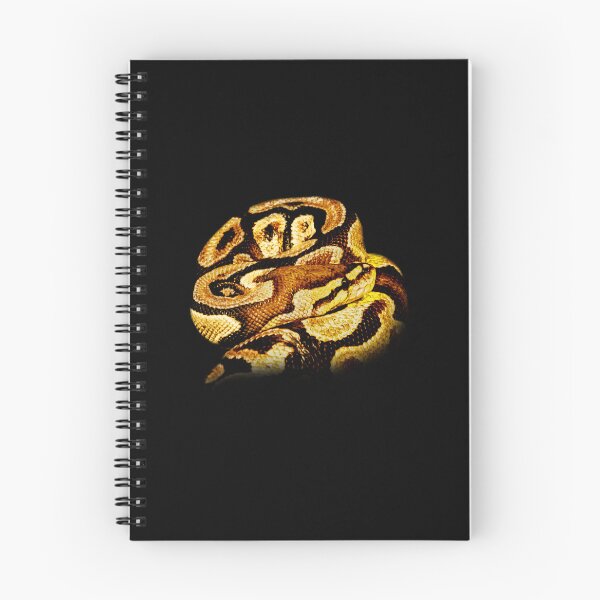 Item preview, Python designed and sold by Guardi71.