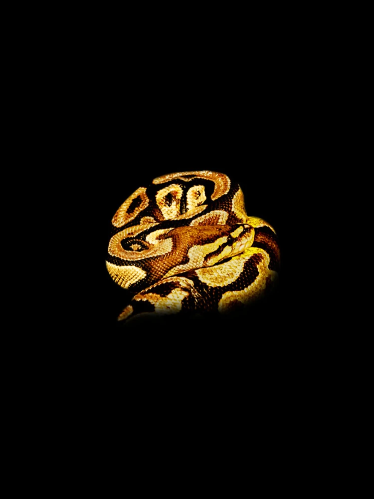 Thumbnail 4 of 4, iPhone Case, Python designed and sold by Guardi71.