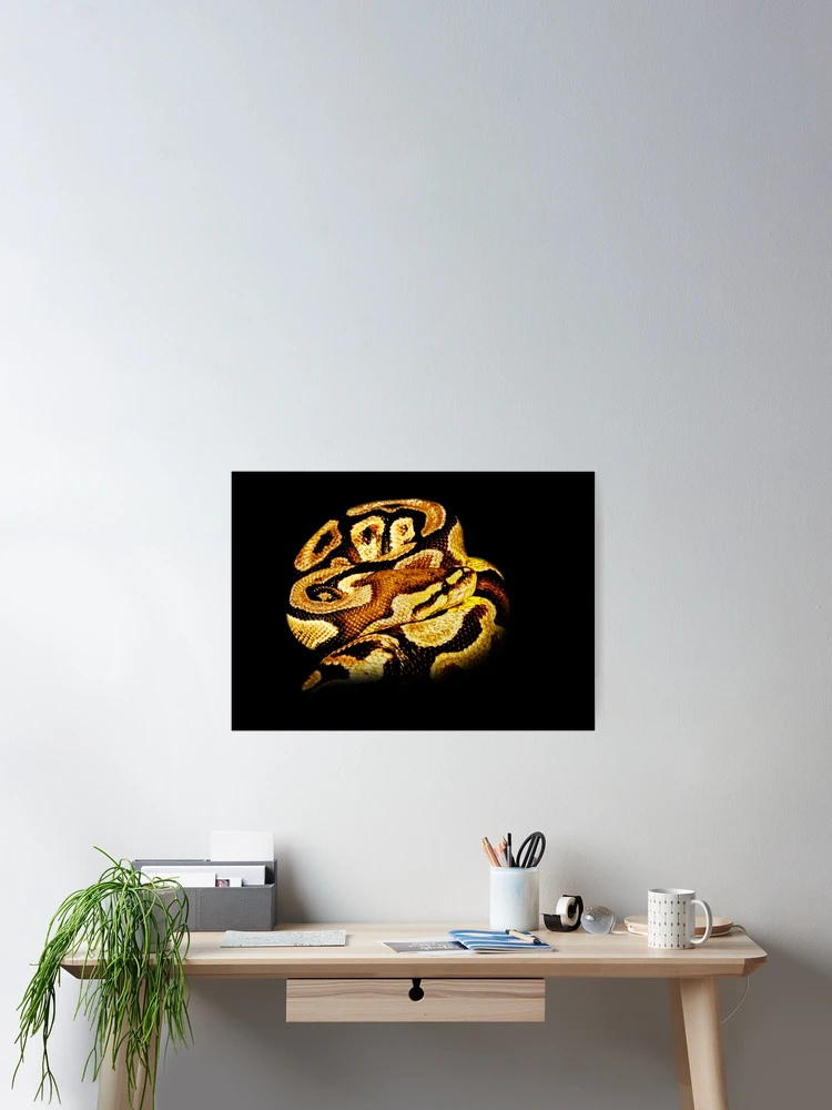 Thumbnail 2 of 3, Poster, Python designed and sold by Guardi71.