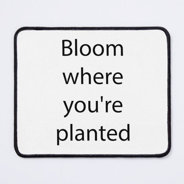 Item preview, Hobby Quote 11 designed and sold by Park Windsor.