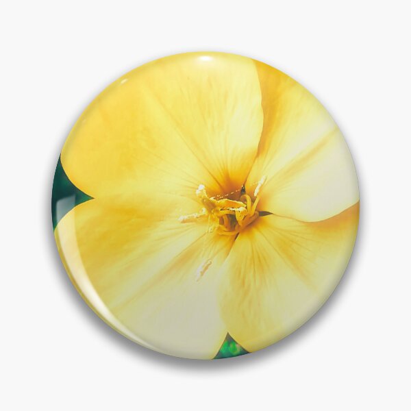 Item preview, Common Evening Primrose Flower designed and sold by Marco Sales.