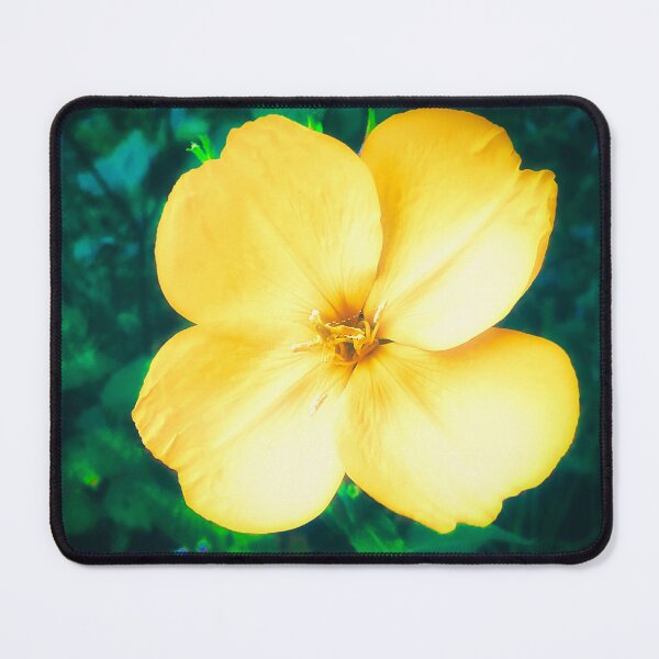 Item preview, Common Evening Primrose Flower designed and sold by Marco Sales.
