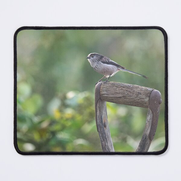 Item preview, Long-Tailed Tit,perched a graden spade designed and sold by kathleenjean.