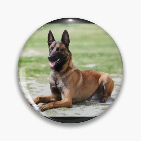 Item preview, Alert Dog designed and sold by annenambiro.