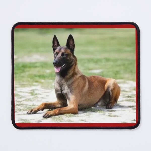Item preview, Alert Dog designed and sold by annenambiro.