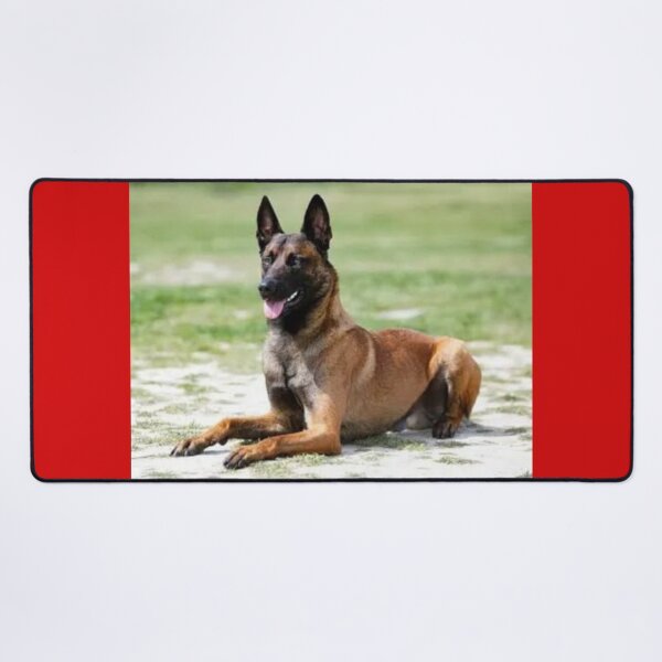 Item preview, Alert Dog designed and sold by annenambiro.