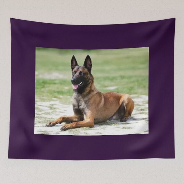 Item preview, Alert Dog designed and sold by annenambiro.