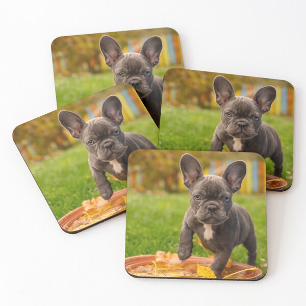 Item preview, French Bulldog Baby designed and sold by OskiOnTour.