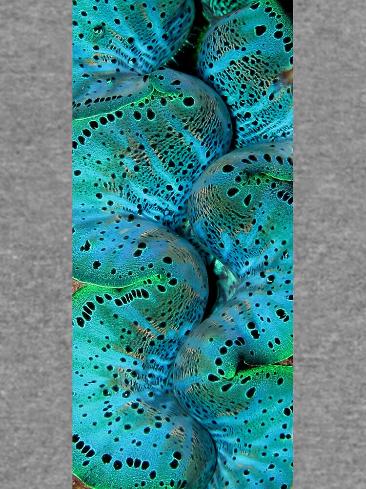 Sinusoidal in Blue by neoniphon