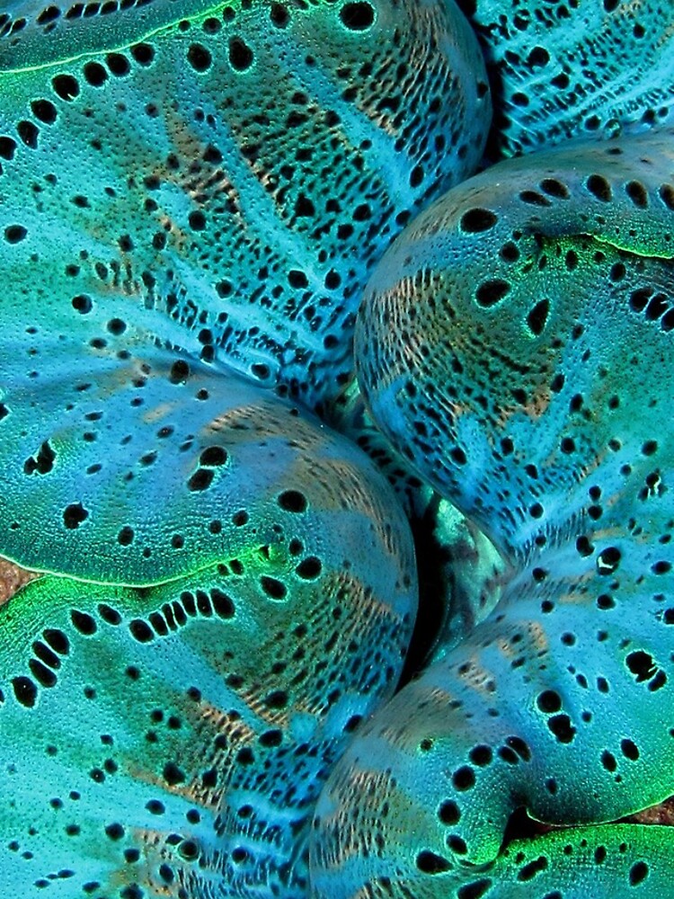 Sinusoidal in Blue by neoniphon