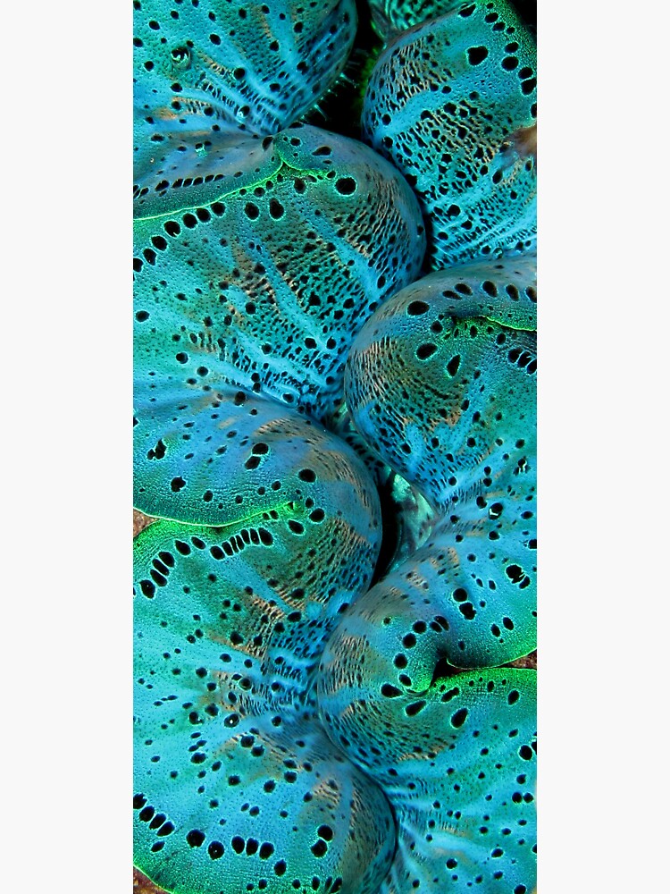 Sinusoidal in Blue by neoniphon