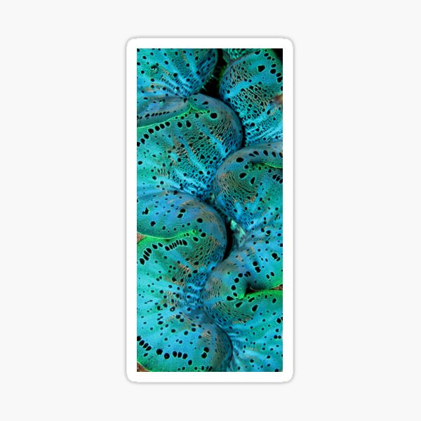 Sinusoidal in Blue Sticker