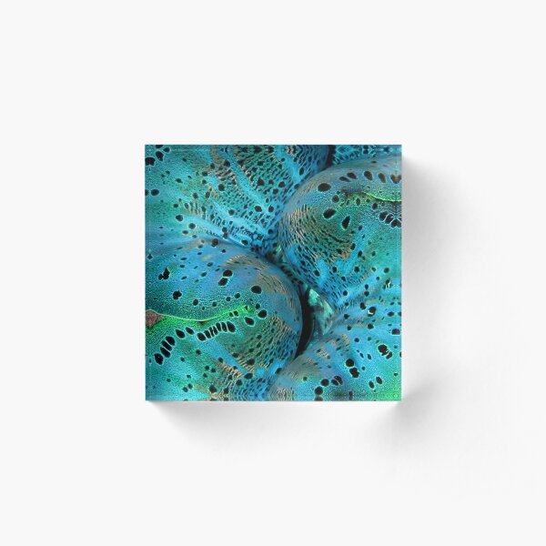 Sinusoidal in Blue Acrylic Block