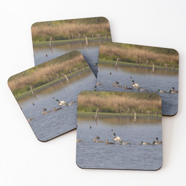 Item preview, Ducks designed and sold by Calidris Fotografie Steffi & Ben Köppler.