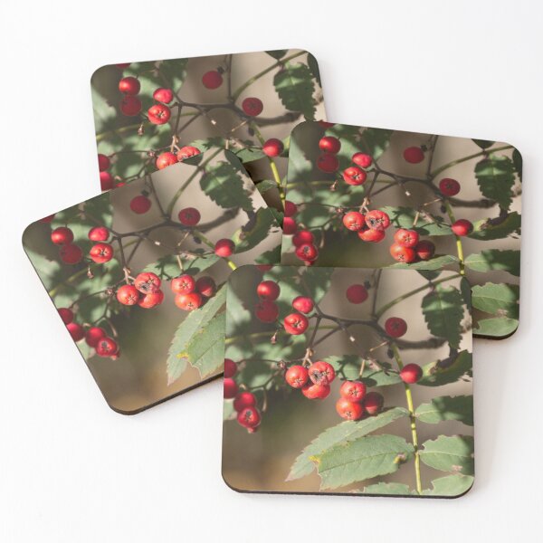 Item preview, Mountain Ash designed and sold by Calidris Fotografie Steffi & Ben Köppler.