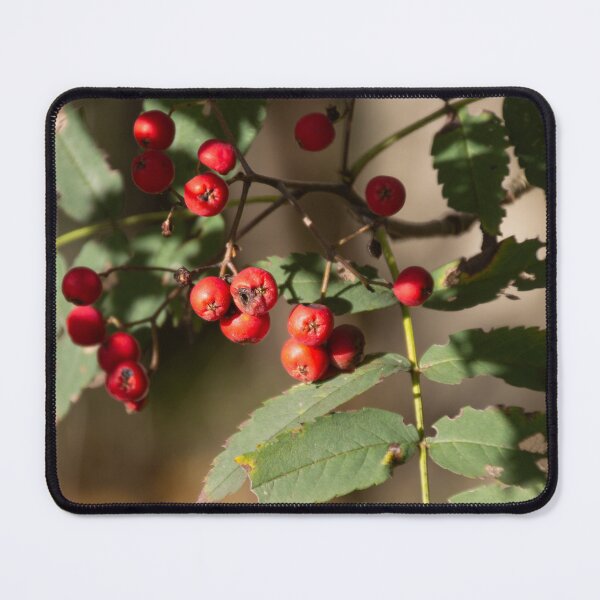 Item preview, Mountain Ash designed and sold by Calidris Fotografie Steffi & Ben Köppler.