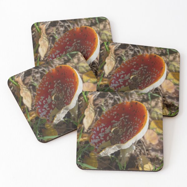 Item preview, Fly Agaric designed and sold by Calidris Fotografie Steffi & Ben Köppler.