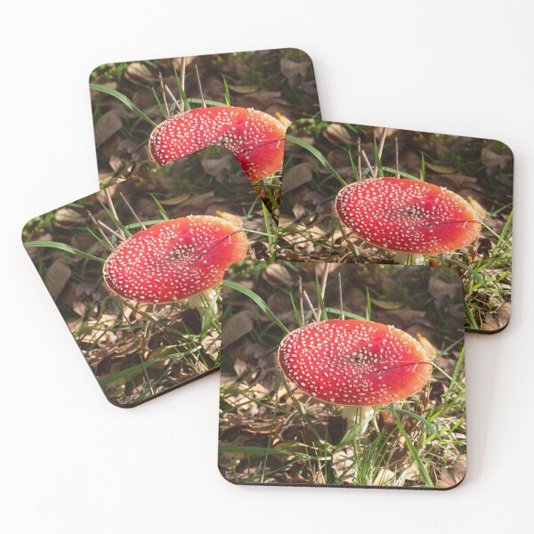 Item preview, Fly Agaric designed and sold by Calidris Fotografie Steffi & Ben Köppler.