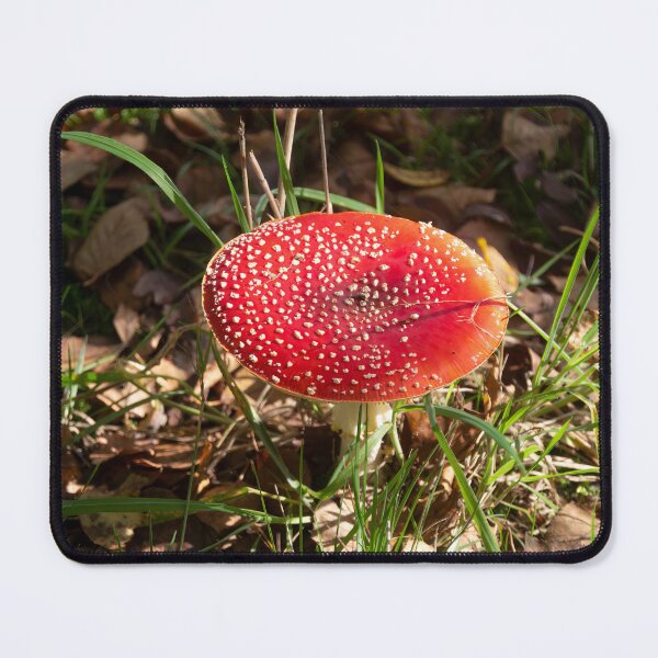 Item preview, Fly Agaric designed and sold by Calidris Fotografie Steffi & Ben Köppler.