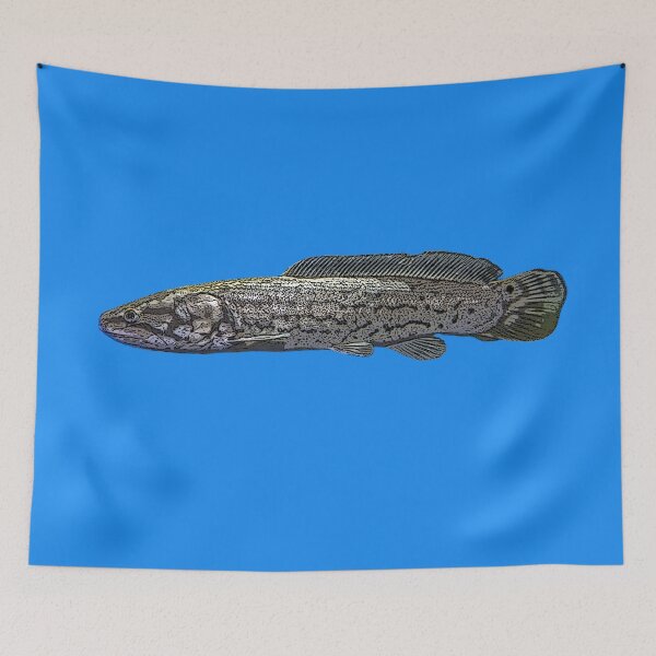 Item preview, Bowfin Color Design  designed and sold by designsasstultd.