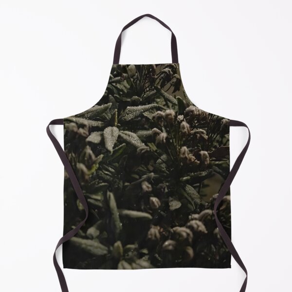 Item preview, Rhododendron with Hoarfrost designed and sold by Calidris Fotografie Steffi & Ben Köppler.