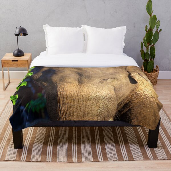 Item preview, Asian Elephant Thailand designed and sold by tpixx.