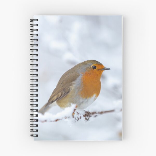 Item preview, Robin in the snow designed and sold by AnitaNicholson.