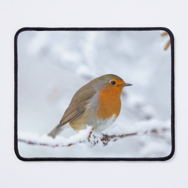 Item preview, Robin in the snow designed and sold by AnitaNicholson.