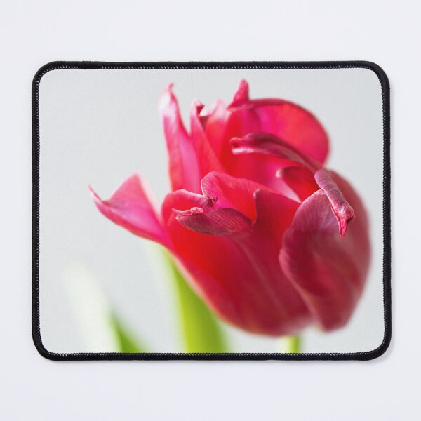 Item preview, I will look this World Straight in the Eyes designed and sold by Kasia Design.