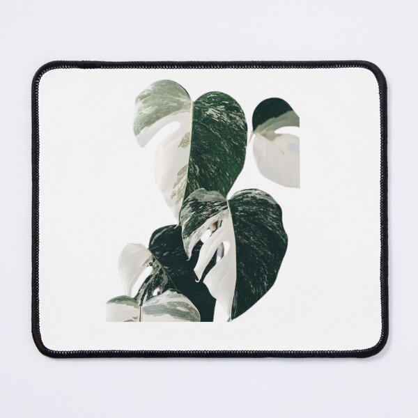 Item preview, Monstera Varieties designed and sold by stzl26.