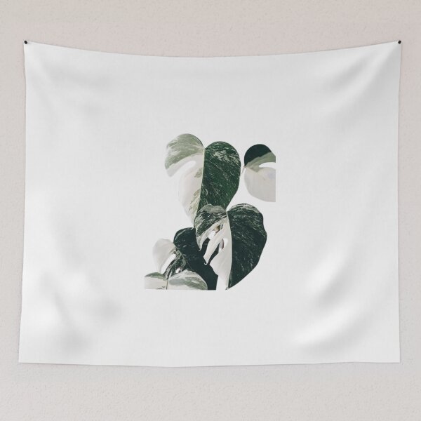 Item preview, Monstera Varieties designed and sold by stzl26.