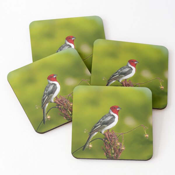 Item preview, Red-cowled Cardinal (Paroaria dominicana) designed and sold by passarinhalan.
