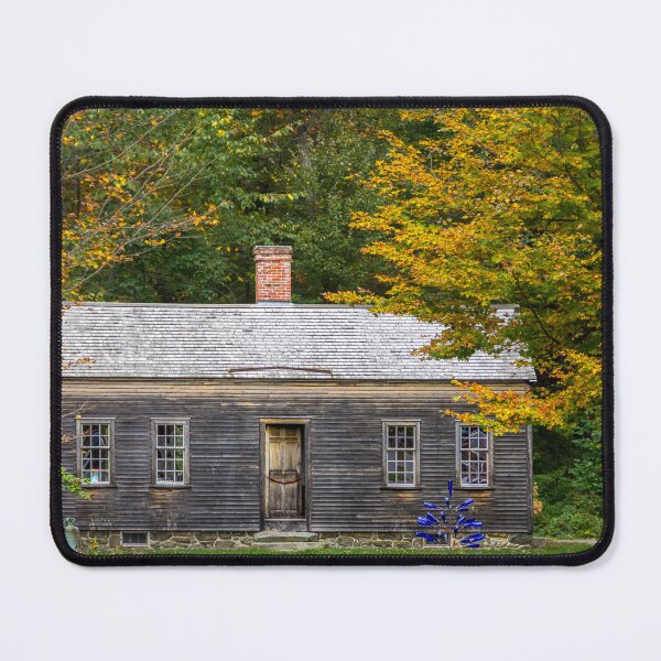 Item preview, Robbins House and Blue Bottle Tree designed and sold by Debra Martz.