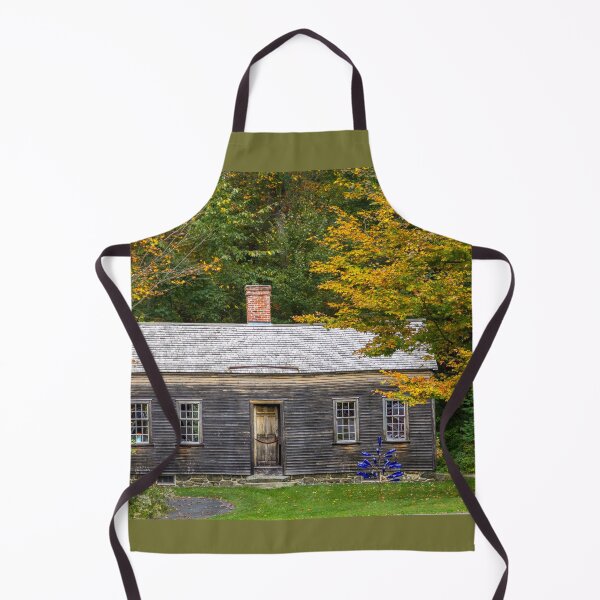 Item preview, Robbins House and Blue Bottle Tree designed and sold by Debra Martz.