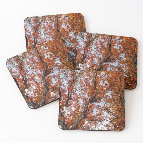 Item preview, Bright red autumn foliage designed and sold by KRFNatureGifts.