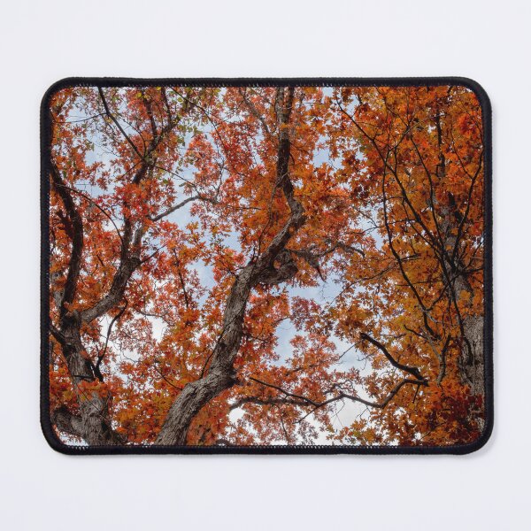 Item preview, Bright red autumn foliage designed and sold by KRFNatureGifts.
