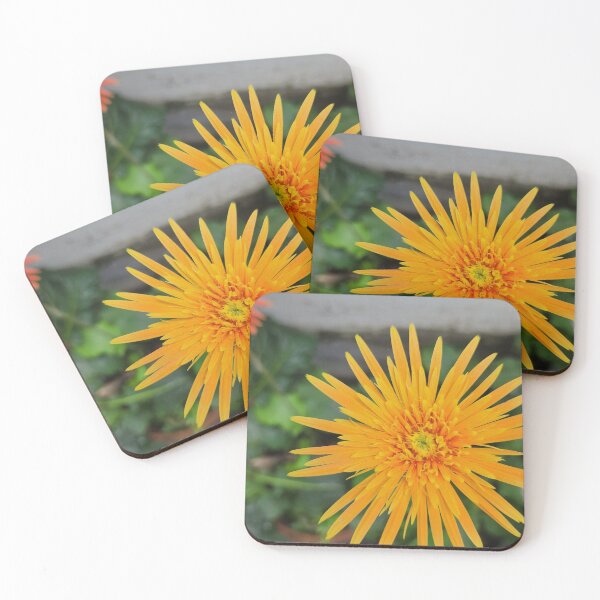 Item preview, Daisies  designed and sold by Nichan-70.