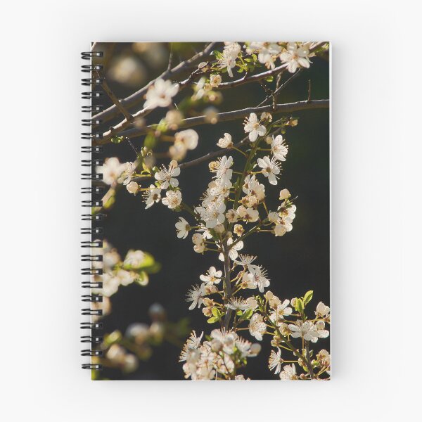 Item preview, White flowers designed and sold by Tilosparty30.