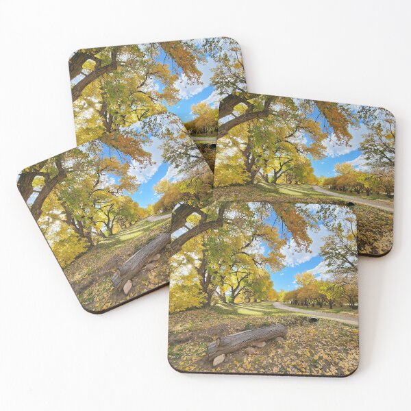 Item preview, Road through Autumn designed and sold by CESW Photography.