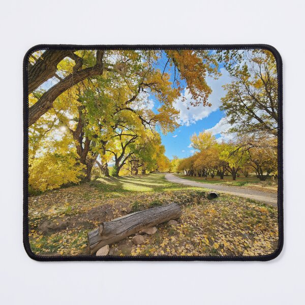 Item preview, Road through Autumn designed and sold by CESW Photography.