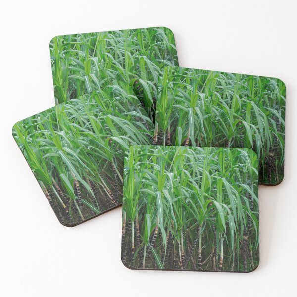 Item preview, Suger cane field designed and sold by GuruKde.