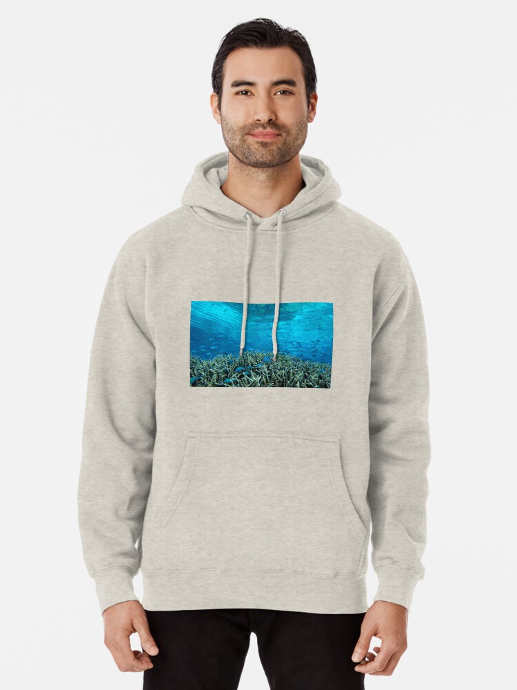 Alternate view of Panavara channel Pullover Hoodie