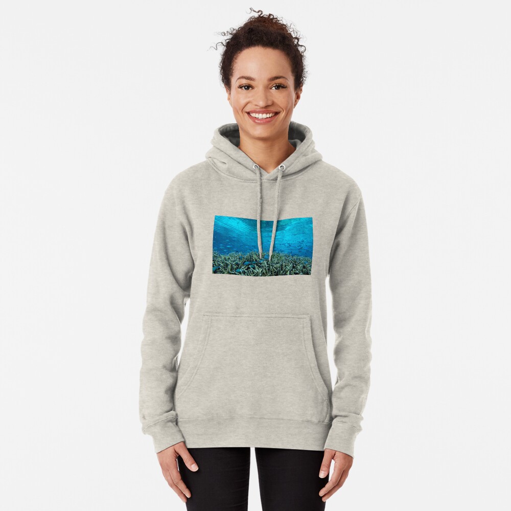 Panavara channel Pullover Hoodie