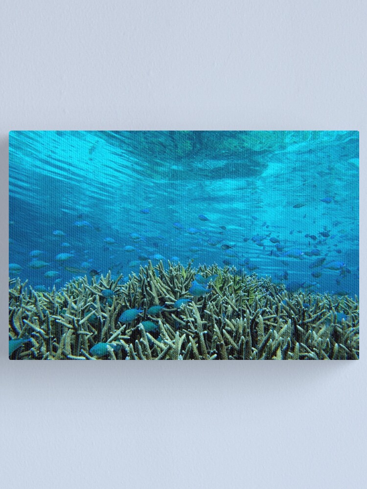 Alternate view of Panavara channel Canvas Print