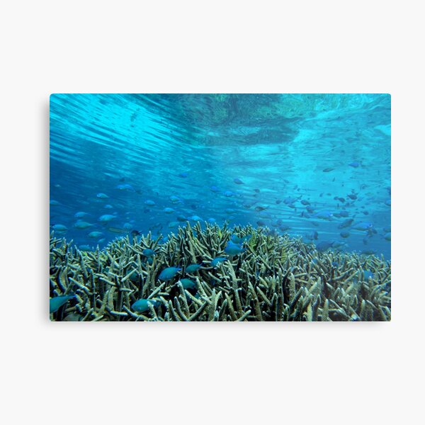 Panavara channel Metal Print