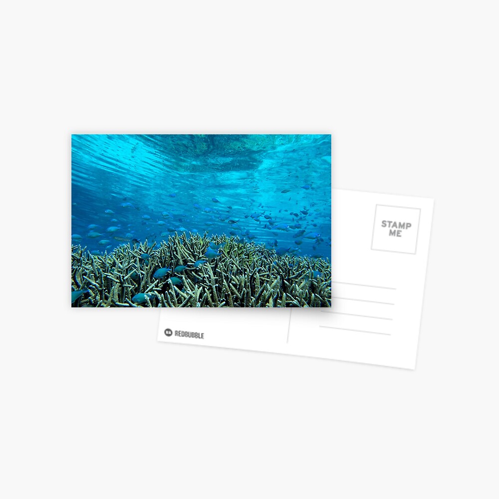 Panavara channel Postcard
